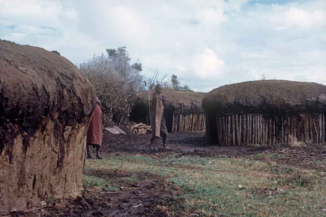 Maasai huts