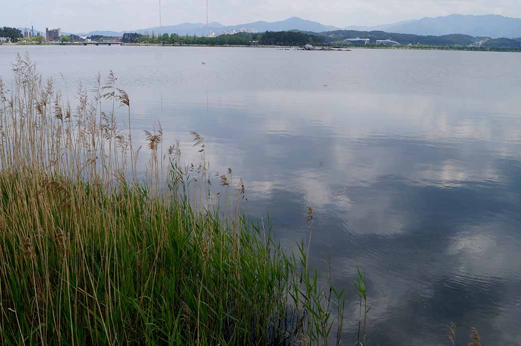 Across Gyeongpo Lake
