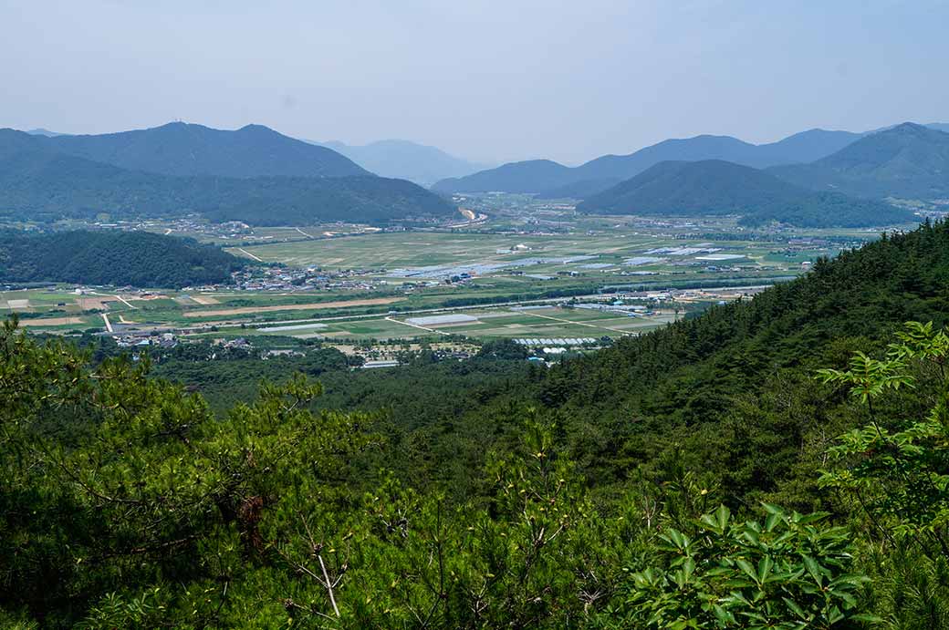 Samneung valley
