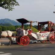 Tourists' horse carriages