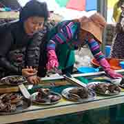 Haenyeo selling seafood
