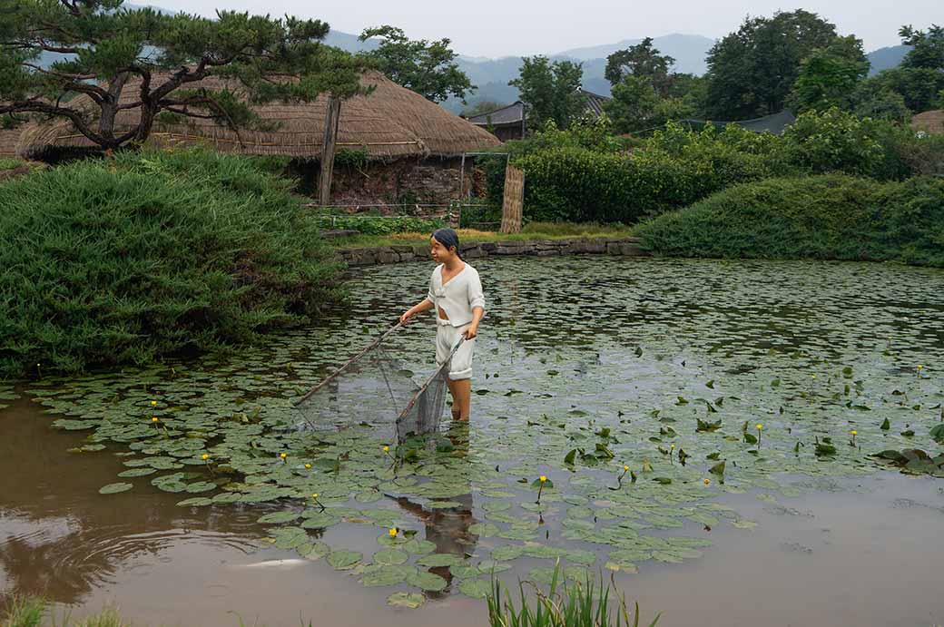 Lotus pond in Nagan