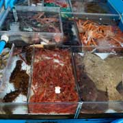Assortment of seafood