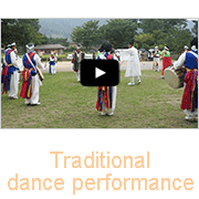 Traditional dance performance