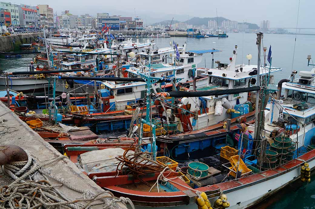 Fishing boats | Wando | South Jeolla Province | Korea | OzOutback