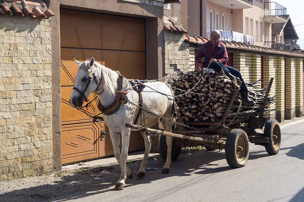 Horse cart, Gjakova | Kosovar People | Kosovo | OzOutback
