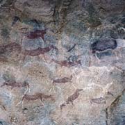 Bushmen paintings