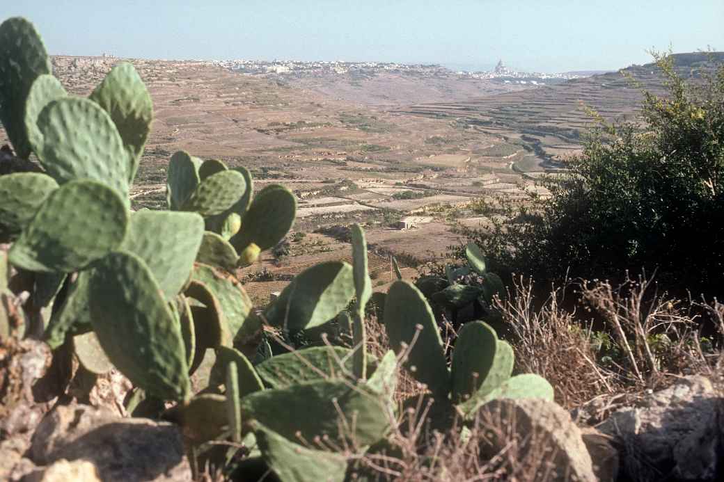 View to Victoria (Ir-Rabat Għawdex)