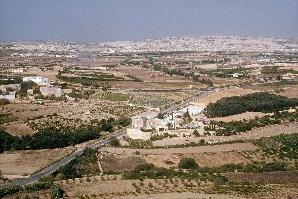 View from Mdina citadel