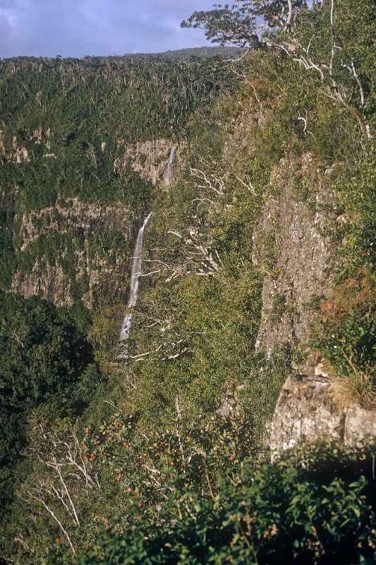 Waterfall, Black River Gorge