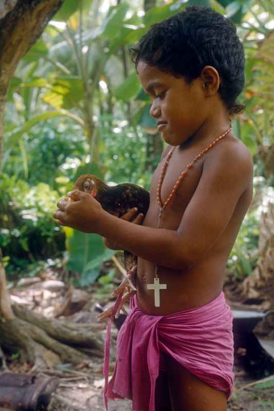 Young boy with his rooster