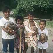 Children with coconuts, Utwa