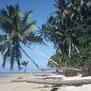 Beach in Walung, Kosrae