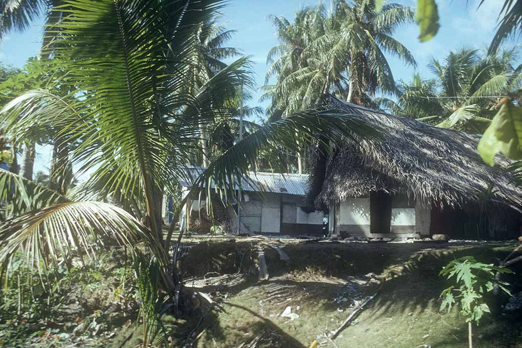 Village houses