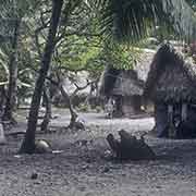 Traditional houses, Woleai