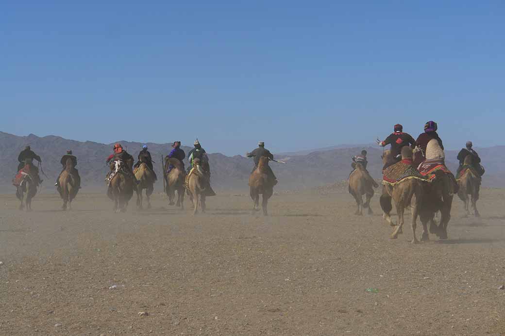 The camel race