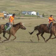 Horse race finish