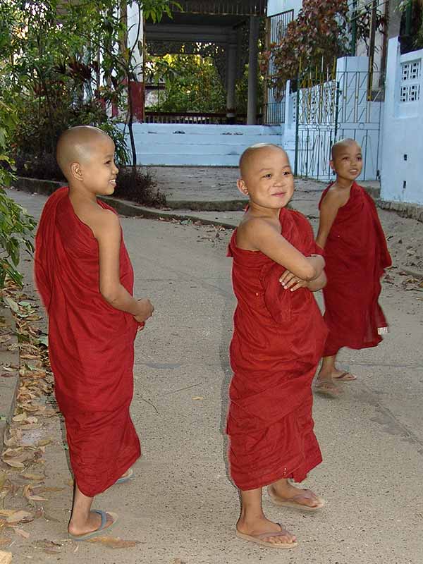 Small novice monks
