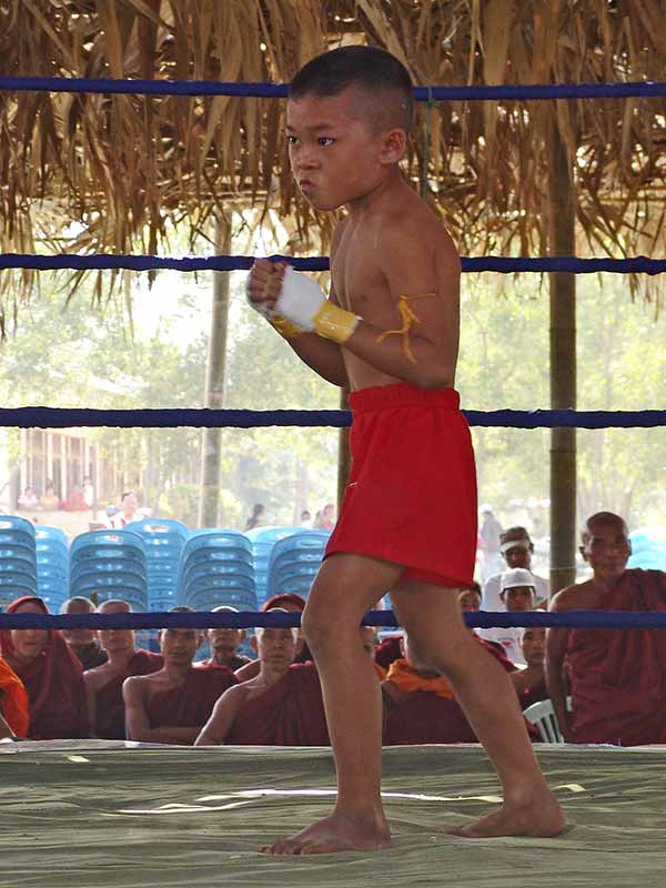 Small boy boxer