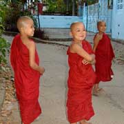 Small novice monks
