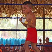 Small boy boxer