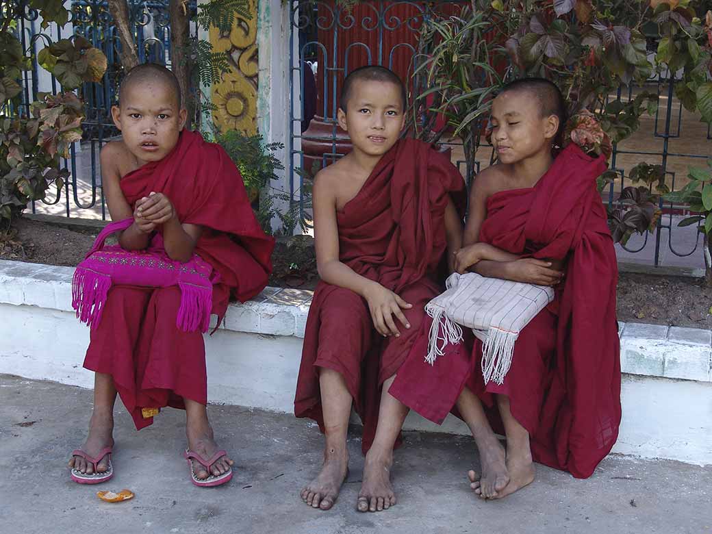 Young novice monks
