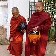 Boy novice monks