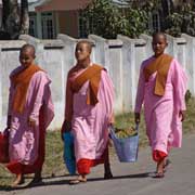 Three Buddhist nuns