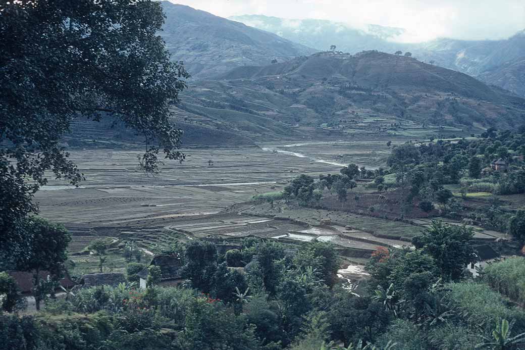 View of farms