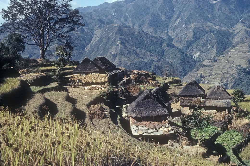Village of Thakani