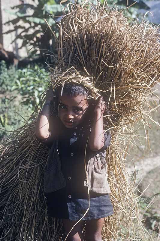 Boy with bundle of straw
