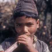 Boy chewing sugar cane