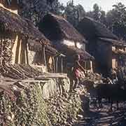 Houses, Borlang Bhanyjang
