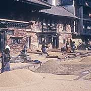 Women drying grain, Patan