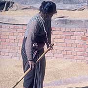 Woman raking grain