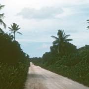 Road on Niue