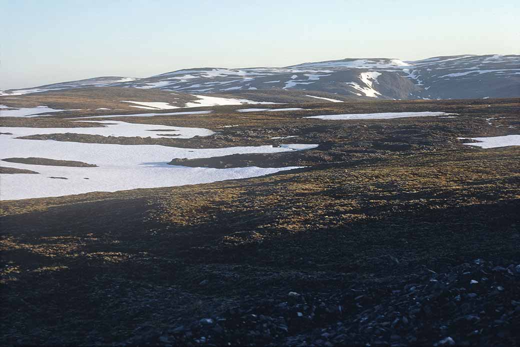 Landscape on Magerøya