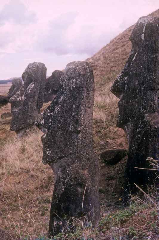 Moai, partially buried, Rano Raraku
