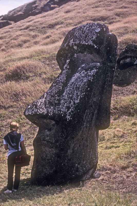 Head of a moai, Rano Raraku