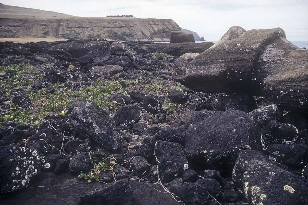 Toppled moai, Te Pito Kura