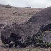 Toppled moai, Ahu Akahanga