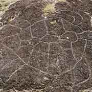 Sea turtle petroglyph, Papa Vaka
