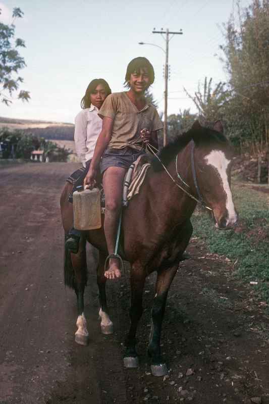 Boy and girl on a horse
