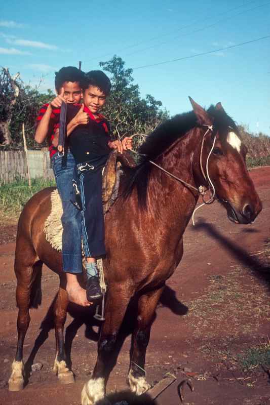 Two boys on a horse