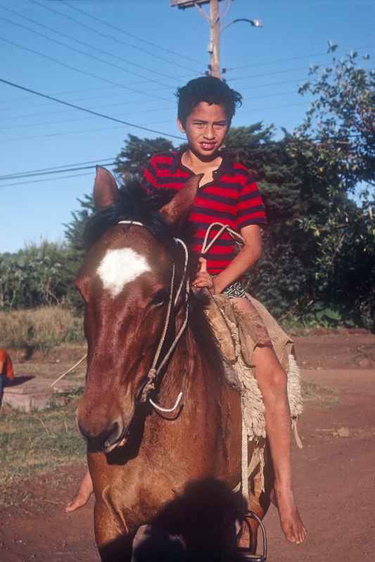 Boy on a horse