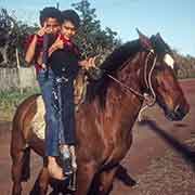 Two boys on a horse