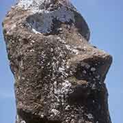 Head of moai, Ahu Akivi