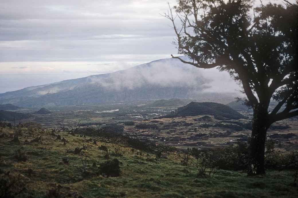 View, Plaine des Cafres