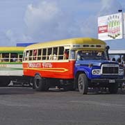 Samoa's colourful buses