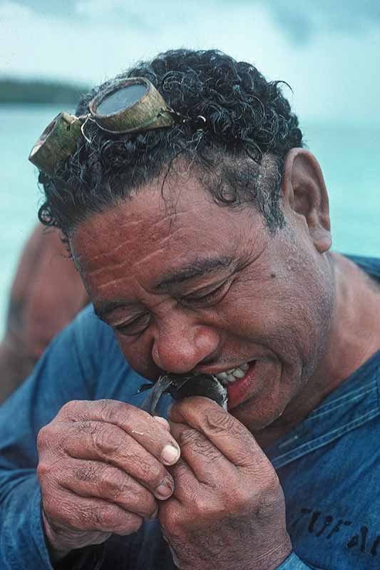 eating-raw-fish-samoan-people-samoa-ozoutback